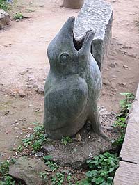 鸟类垃圾箱 bird