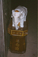 象垃圾箱 elephant