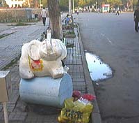 象垃圾箱 elephant