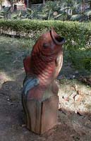 青鲤鱼垃圾箱 carp