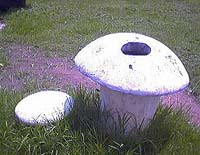 植物垃圾箱 plant