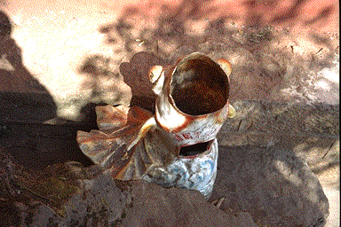 金鱼垃圾箱 AngelFish