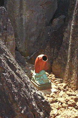 鲤鱼垃圾箱 carp