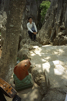 鲤鱼垃圾箱 carp