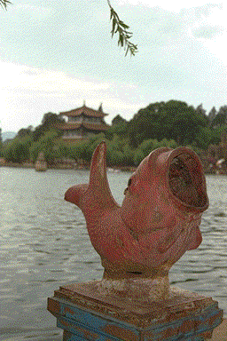 鲤鱼垃圾箱 carp