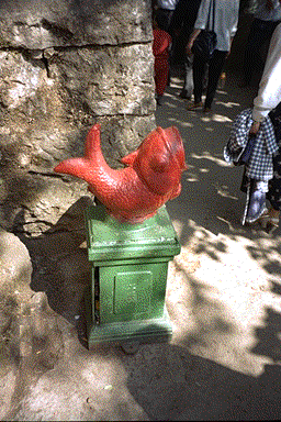 鲤鱼垃圾箱 carp