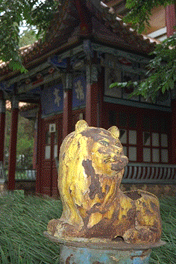 狮子垃圾箱 lion