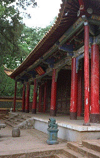 狮子垃圾箱 lion