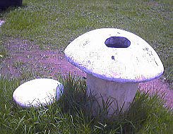 植物垃圾箱 plant