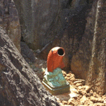 鲤鱼垃圾箱 carp